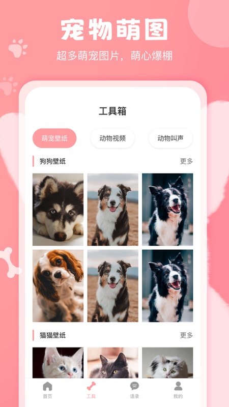 猫狗语翻译器app