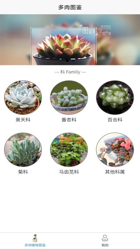 嘟嘟多肉植物鉴 截图2