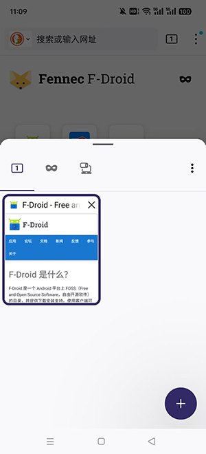 Fennec浏览器 截图4