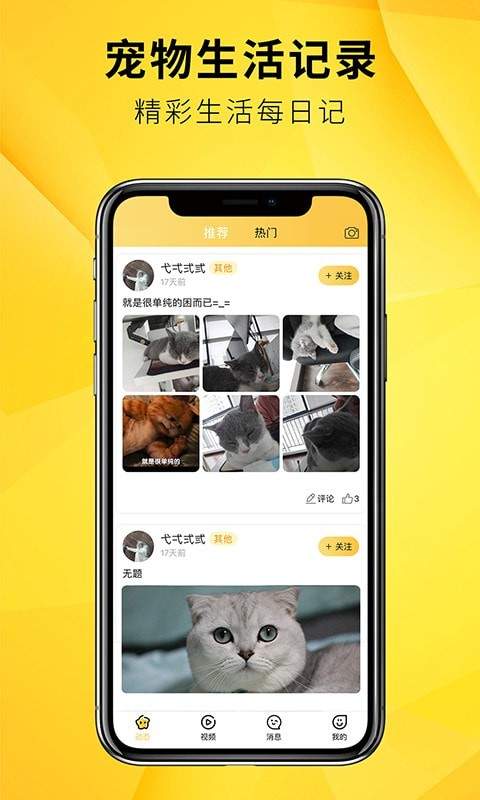 毛宠团app