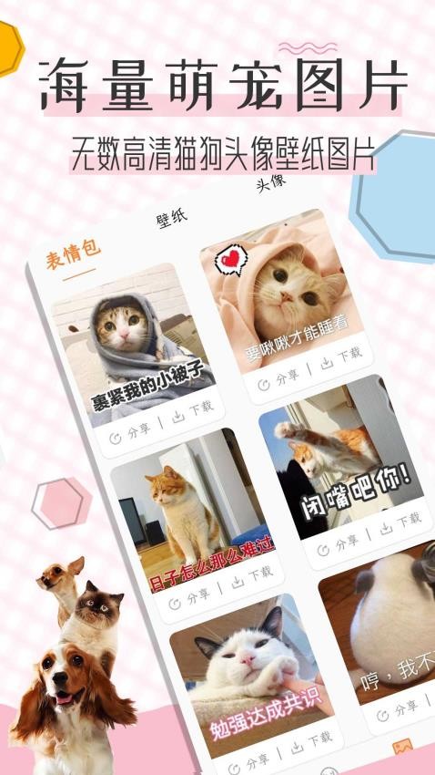 猫语翻译宝2024 截图5