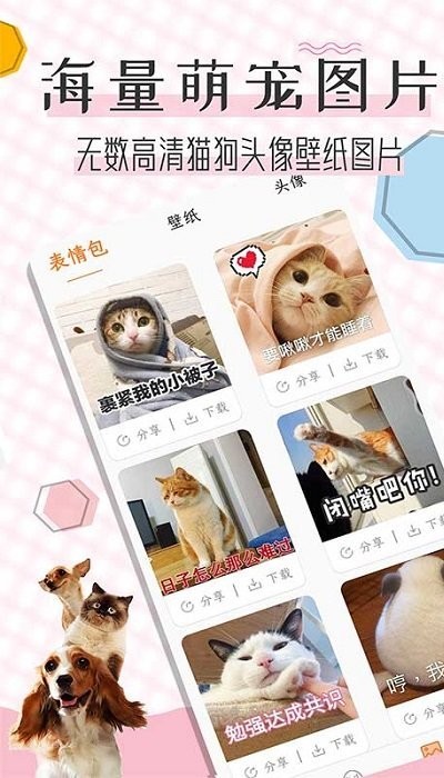 猫语翻译宝软件 截图1