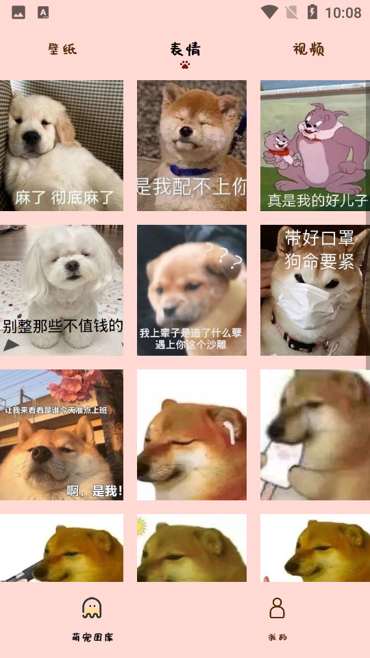 汉克狗app