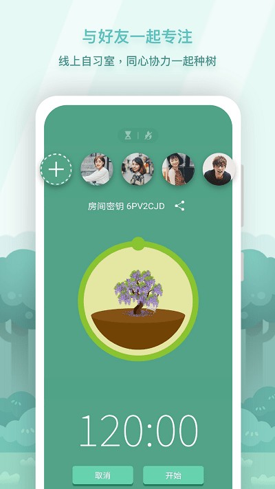 forest专注森林 截图2