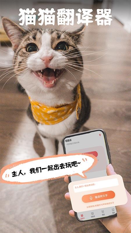 猫翻译