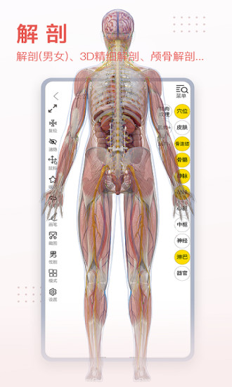 3dbody人体解剖学 截图2