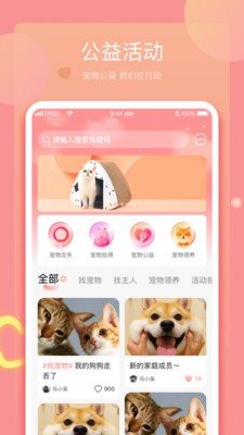 宠宝平台app 截图1