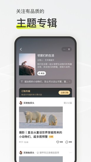 迷岛 截图3