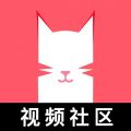 猫咪视频app最新版