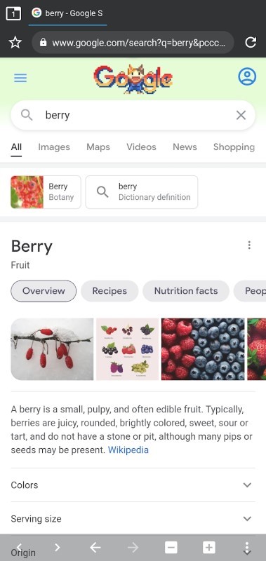 berry浏览器 截图2