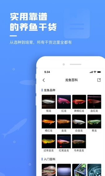 鲲天下app 截图3