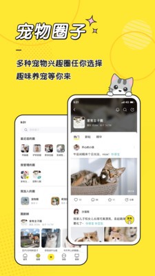 宠圈app 截图3