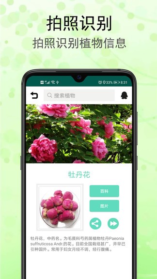 识花草软件 截图3