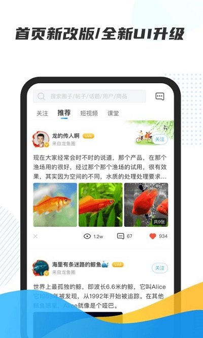 龙巅app 截图1