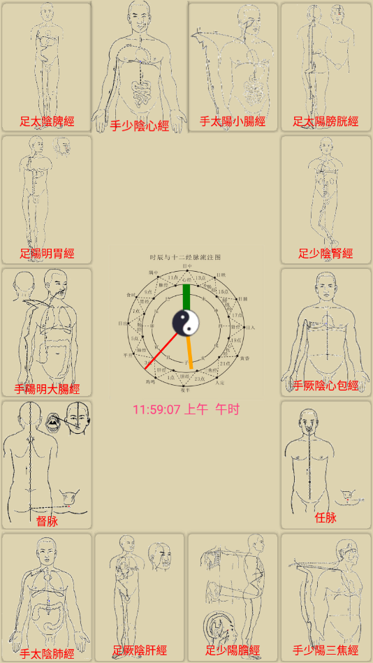 中医经络穴位流注 截图1