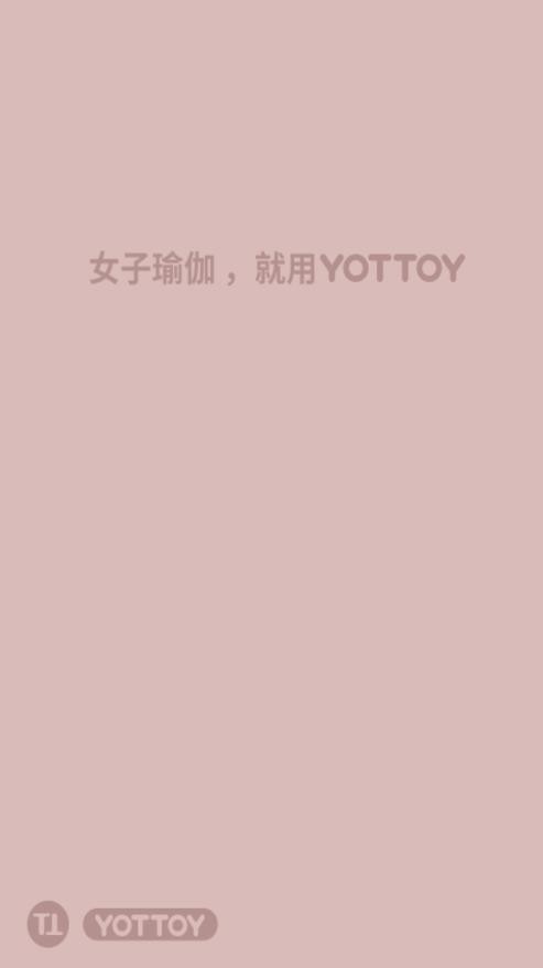 YOTTOY 截图1