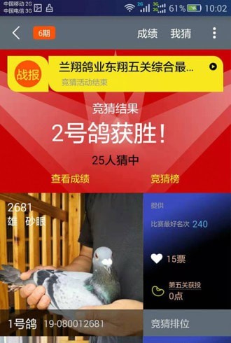 大众信鸽 截图3