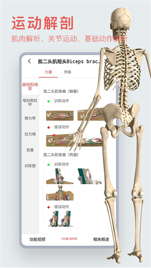 运动功能解剖教学系统app