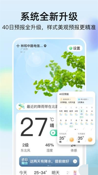 竹雨天气 截图3