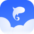 飞鱼天气预报app  1.3