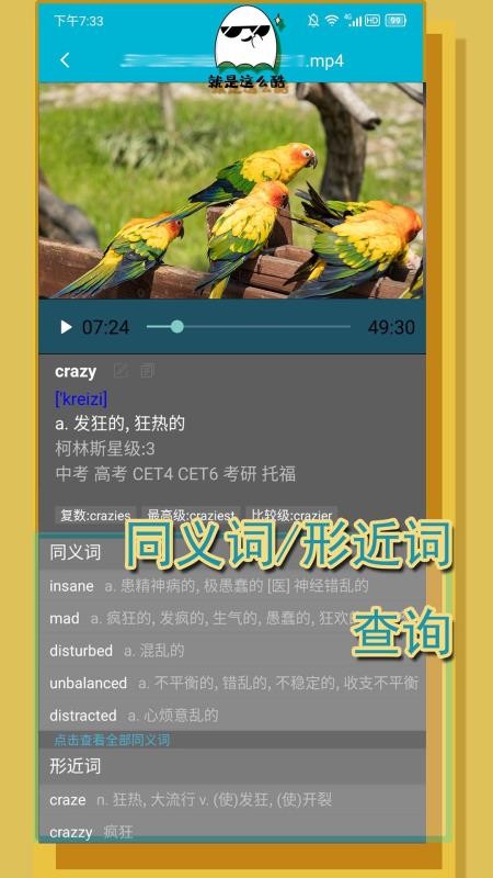 单词播放器app