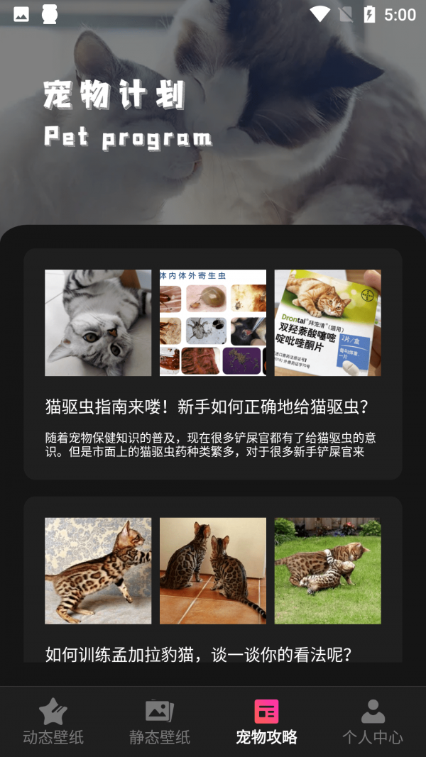 猫咪壁纸app 截图1