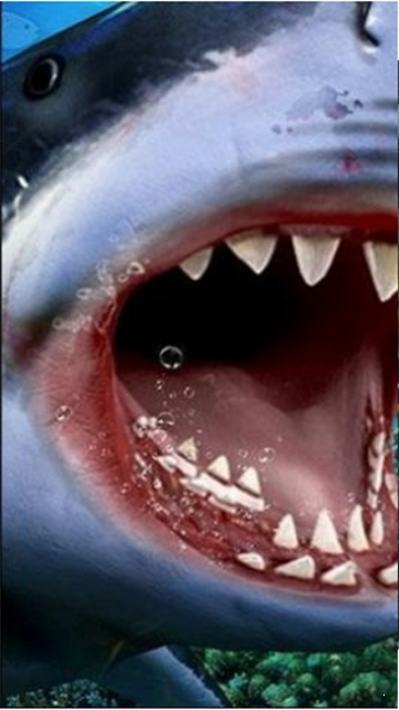狩猎食人鲨中文版 截图1