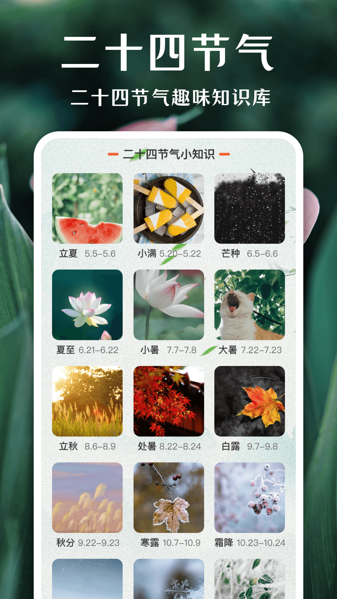 一键拍照识花3.0.0 截图2