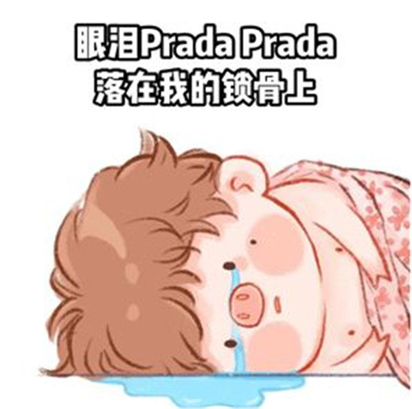 Prada的眼泪PradaPrada地掉表情包 截图1