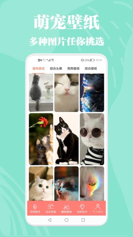 猫狗动物交流器免费版 1.1 截图2