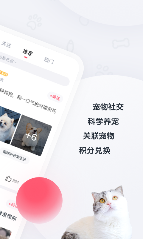 粉爪 截图3