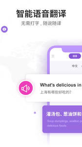 语音翻译器 截图3