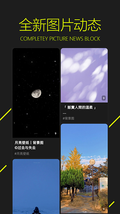 图凌壁纸app 截图4