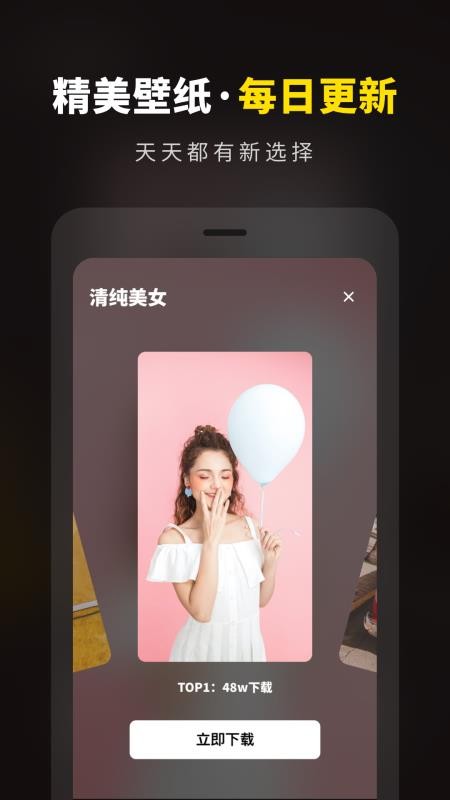 壁纸大全精选app