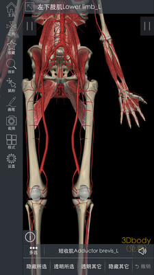 3DBody解剖最新版 截图4