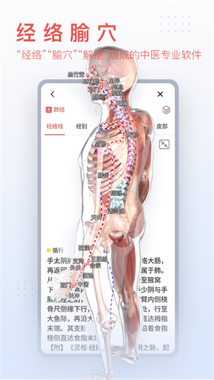 运动功能解剖教学系统app 截图2