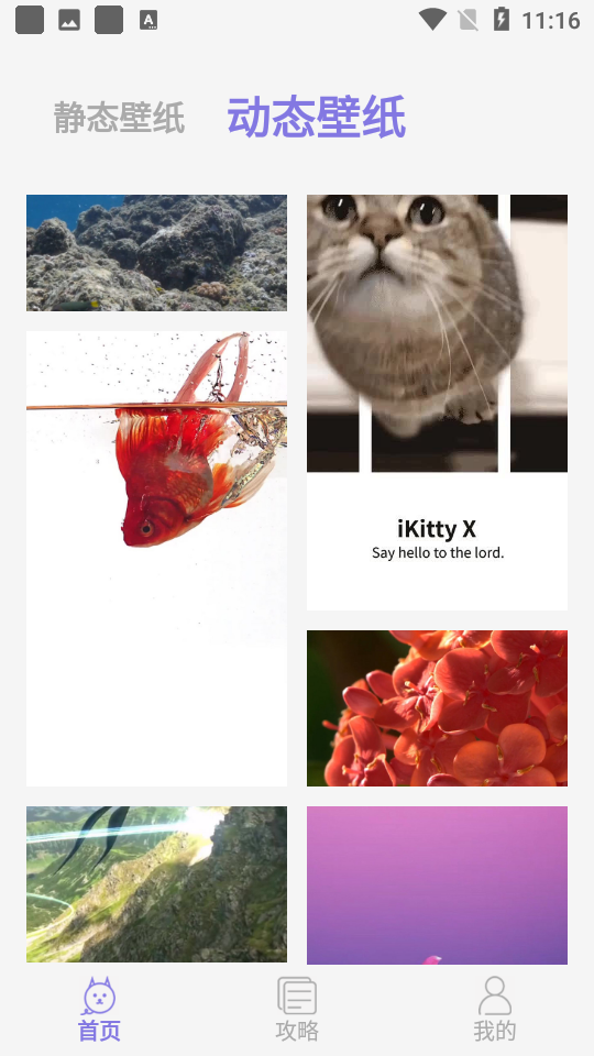 可爱喵喵壁纸大全app 截图4
