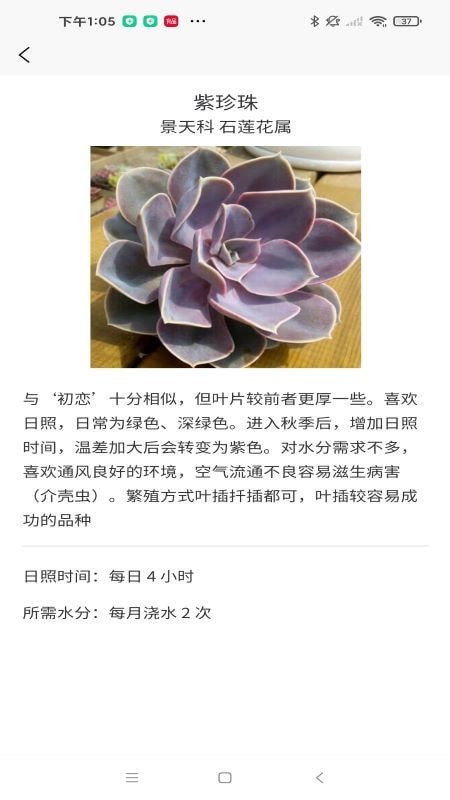 嘟嘟多肉植物鉴 截图3