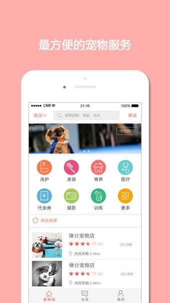 爱狗团1.1 截图4