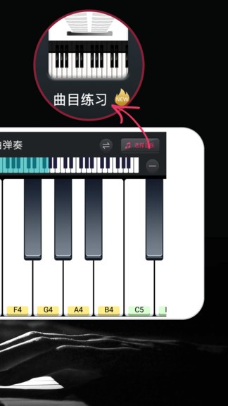 模拟钢琴app 截图2