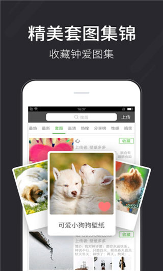 汽水壁纸app