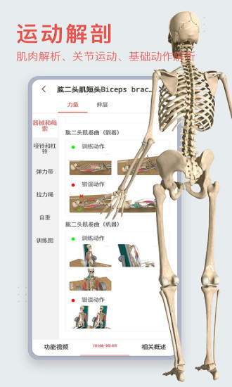 3dbody人体解剖学 截图1