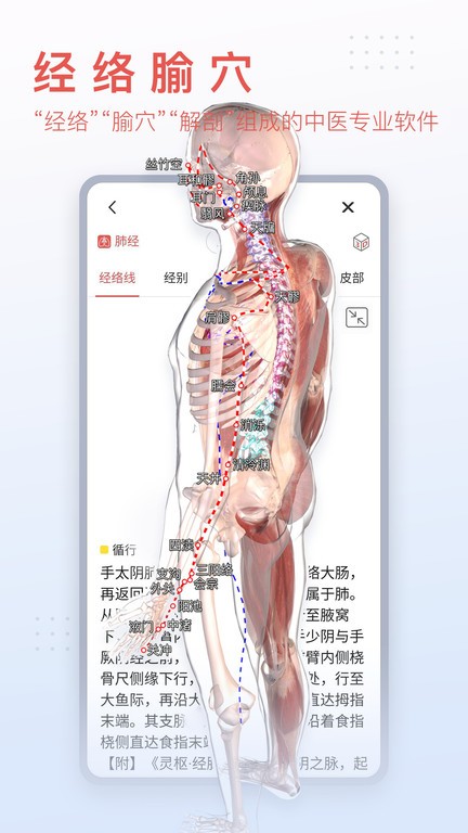 3d人体模型 截图2