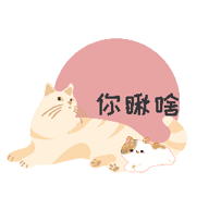 猫咪日记app