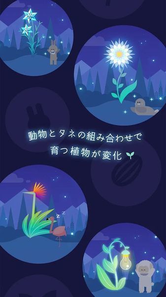 夜之森游戏 截图5