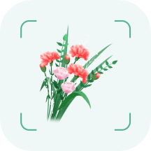植物达人手机版  1.6