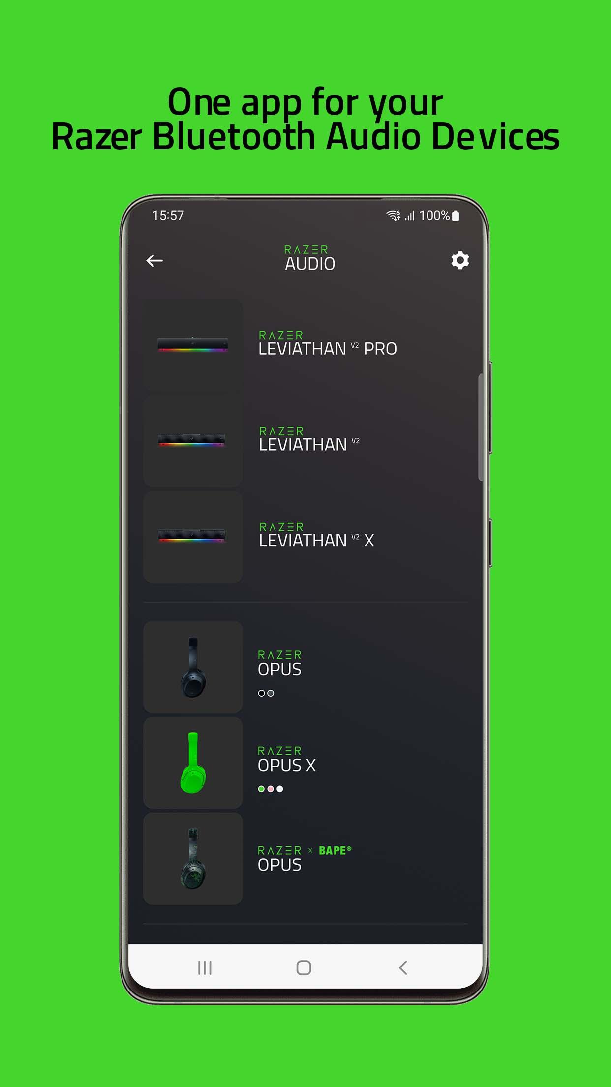 Razer Audio