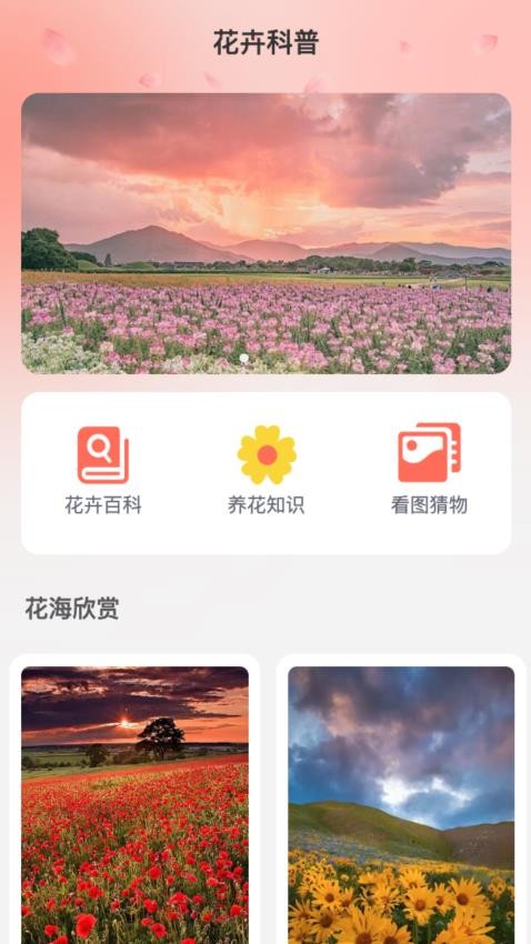 花海流量最新版 截图1