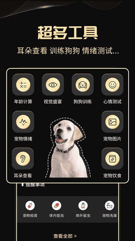 人狗互动工具app 2.6.8