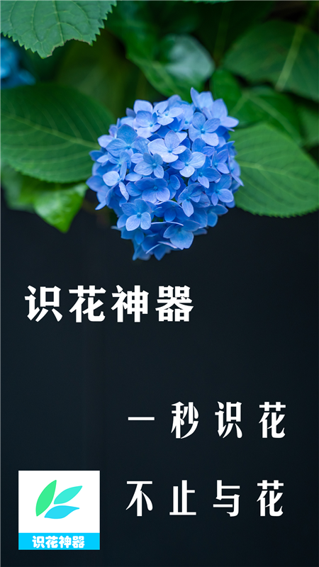 识花神器app 截图2